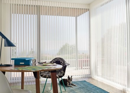 Well-lit office with windows and blinds