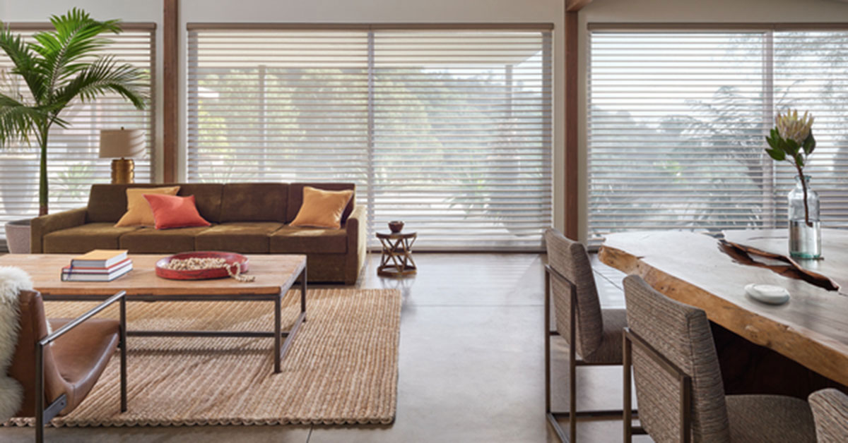 Hunter Douglas Silhouette Shades, one of the types of window coverings, cast sunlight into a living room.
