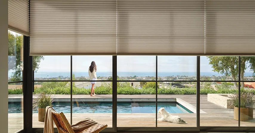 Large bay windows with both shades and window tint overlook a pool and beyond, a beach.